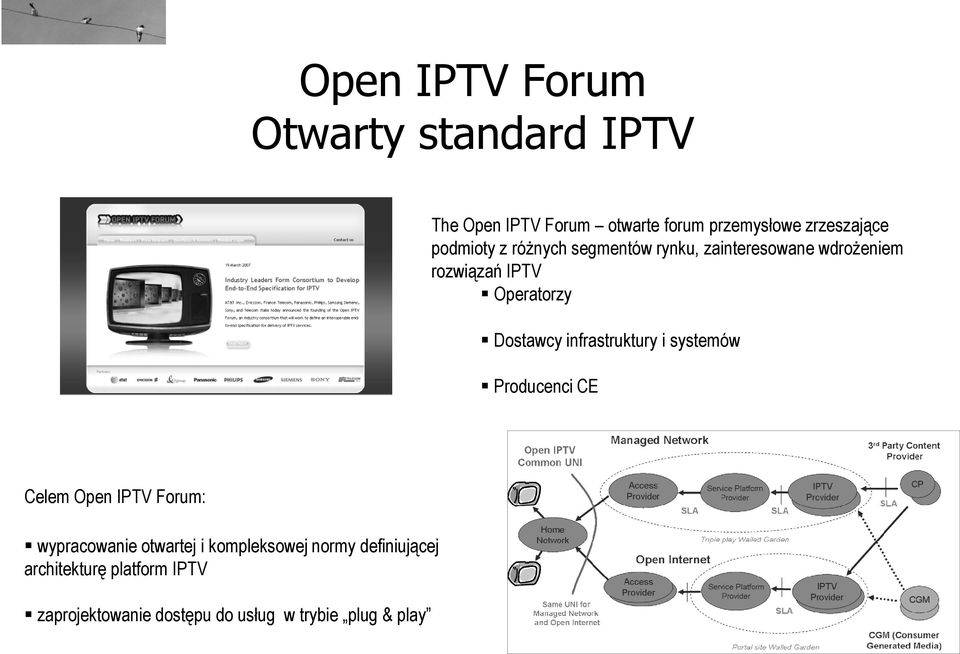 infrastruktury i systemów Producenci CE Celem Open IPTV Forum: wypracowanie otwartej i