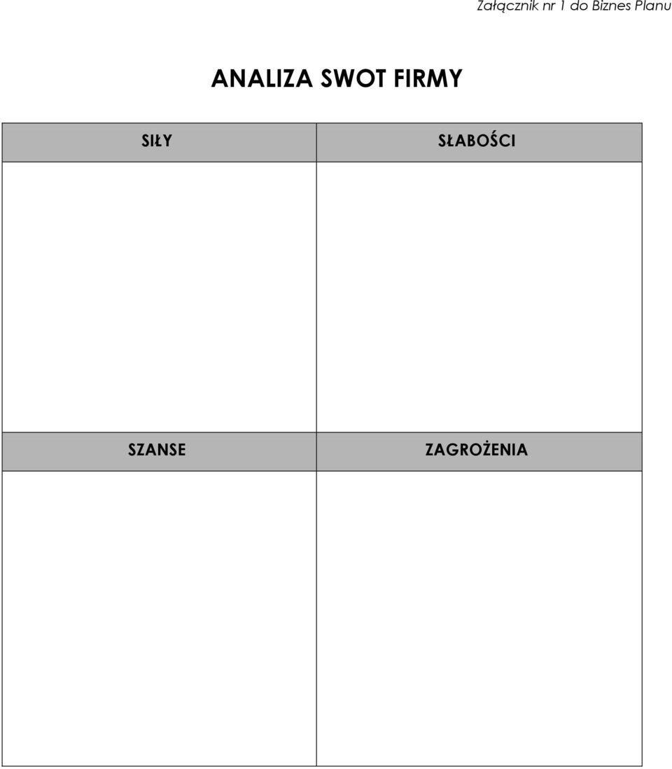 SWOT FIRMY SIŁY