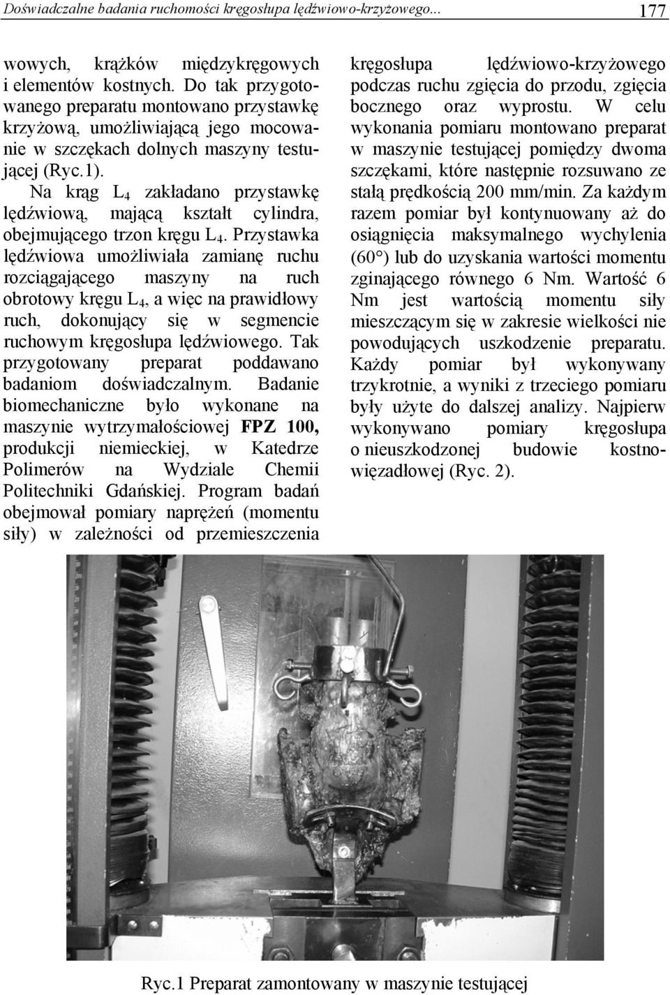 Na krąg L 4 zakładano przystawkę lędźwiową, mającą kształt cylindra, obejmującego trzon kręgu L 4.