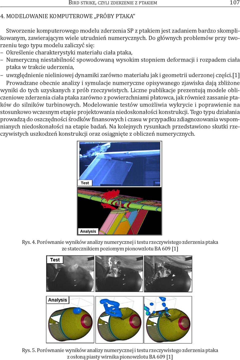 Do głównych problemów przy tworzeniu tego typu modelu zaliczyć się: określenie charakterystyki materiału ciała ptaka, Numeryczną niestabilność spowodowaną wysokim stopniem deformacji i rozpadem ciała