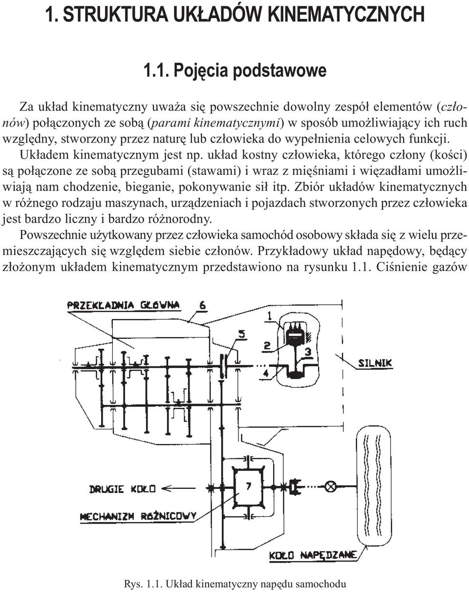 do wpe³nen celowch func. U³dem nemtcznm est np. u³d ostn cz³owe, tórego cz³on (oœc) s¹ po³¹czone ze so¹ przegum (stwm) wrz z mœnm wzd³m umo lw¹ nm chodzene, egne, poonwne s³ tp.