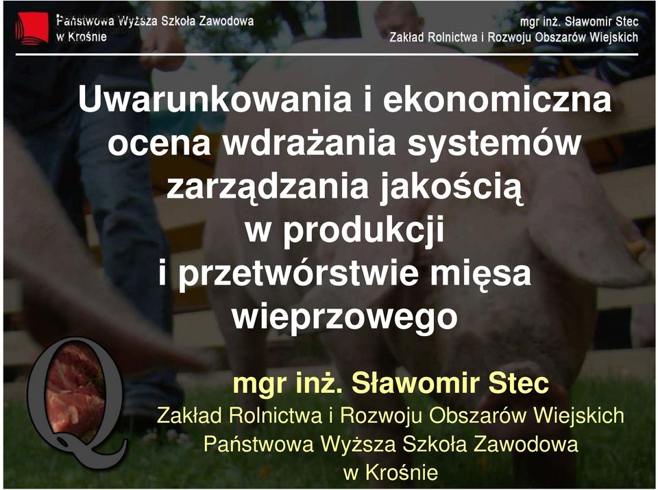 wieprzowego mgr inż.