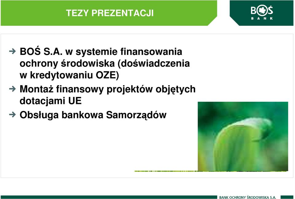 w systemie finansowania ochronyśrodowiska