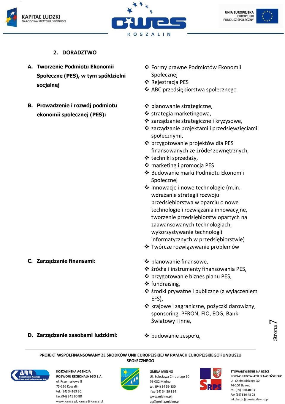 przygotowanie projektów dla PES fina