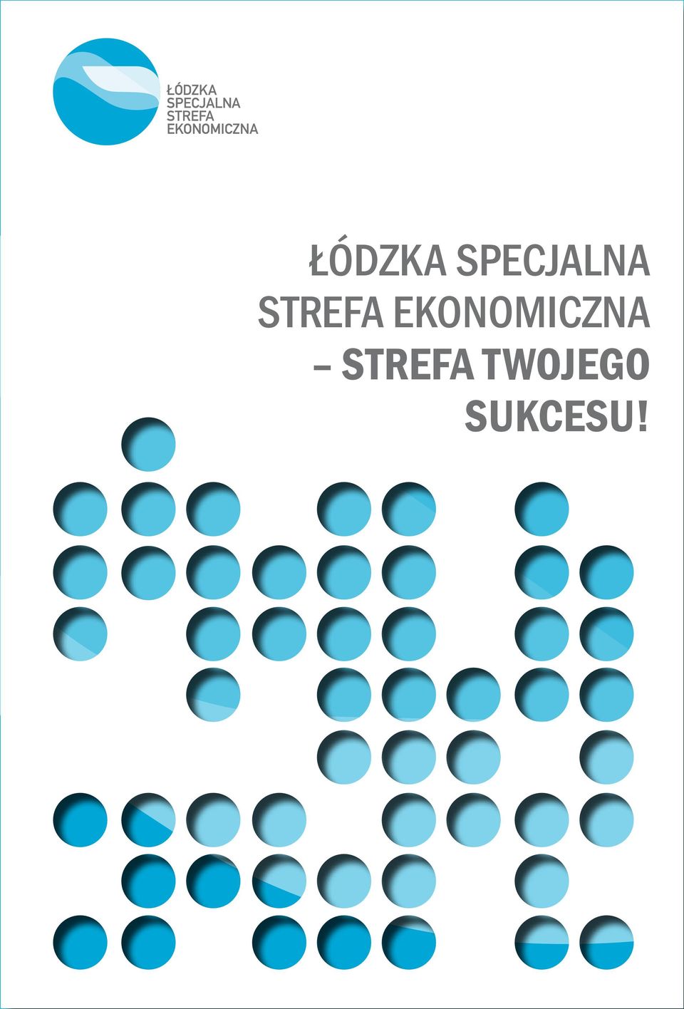 bezpośrednich inwestycji strefa