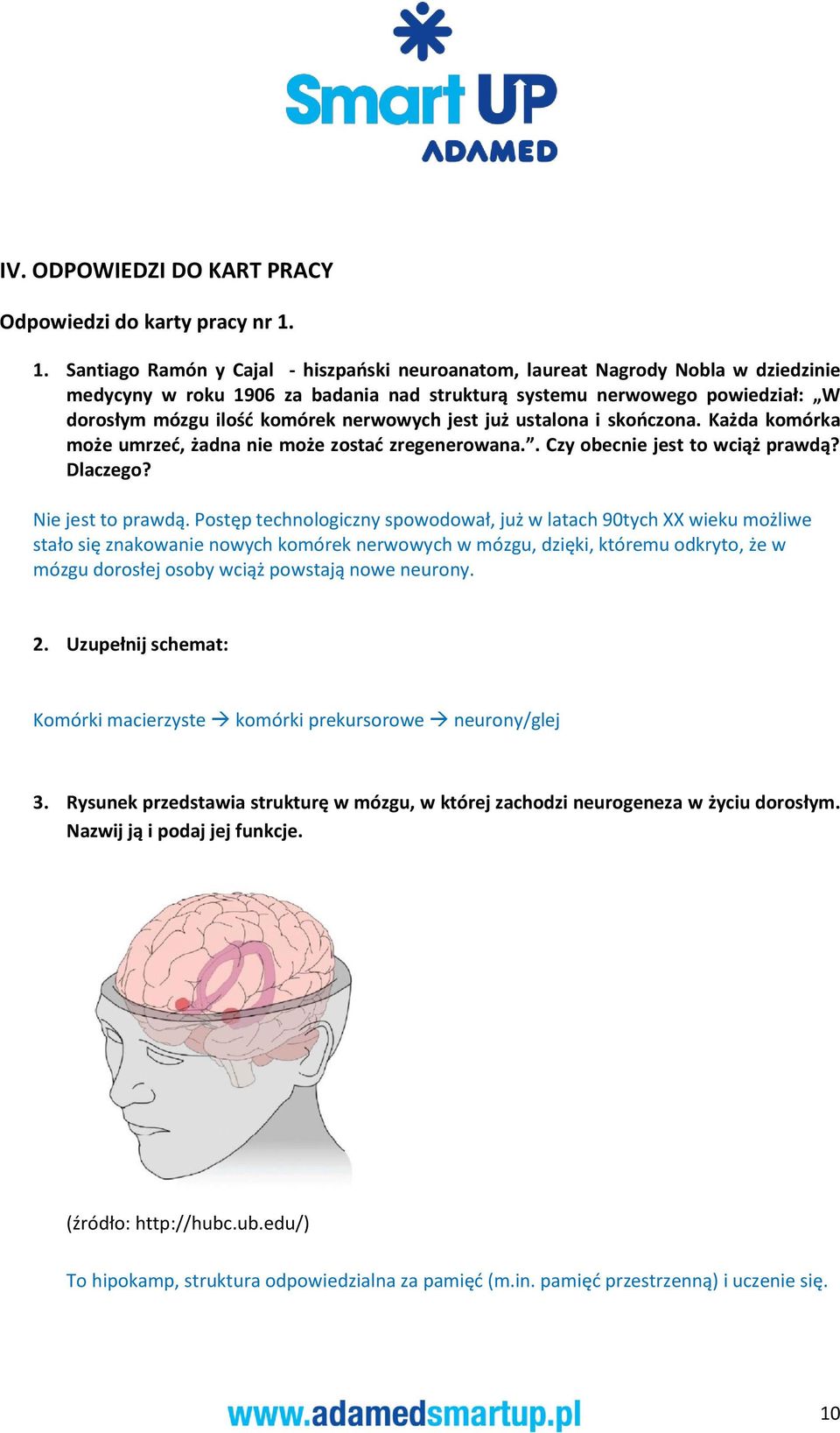 nerwowych jest już ustalona i skończona. Każda komórka może umrzeć, żadna nie może zostać zregenerowana.. Czy obecnie jest to wciąż prawdą? Dlaczego? Nie jest to prawdą.