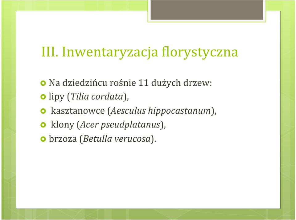 kasztanowce (Aesculus hippocastanum), klony