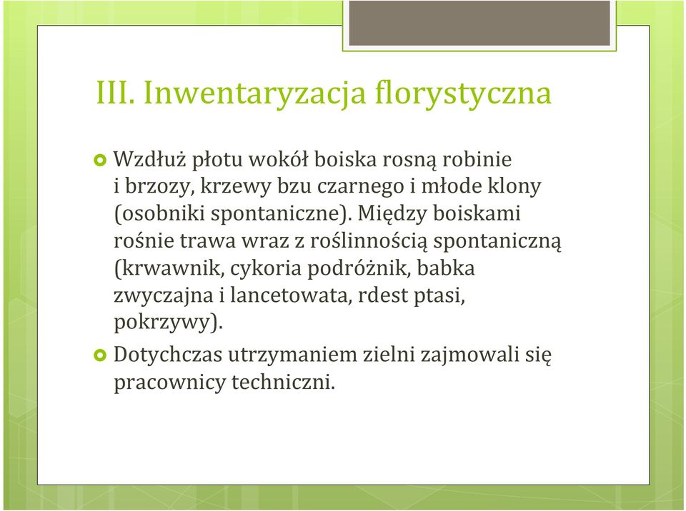 Między boiskami rośnie trawa wraz z roślinnością spontaniczną (krwawnik, cykoria