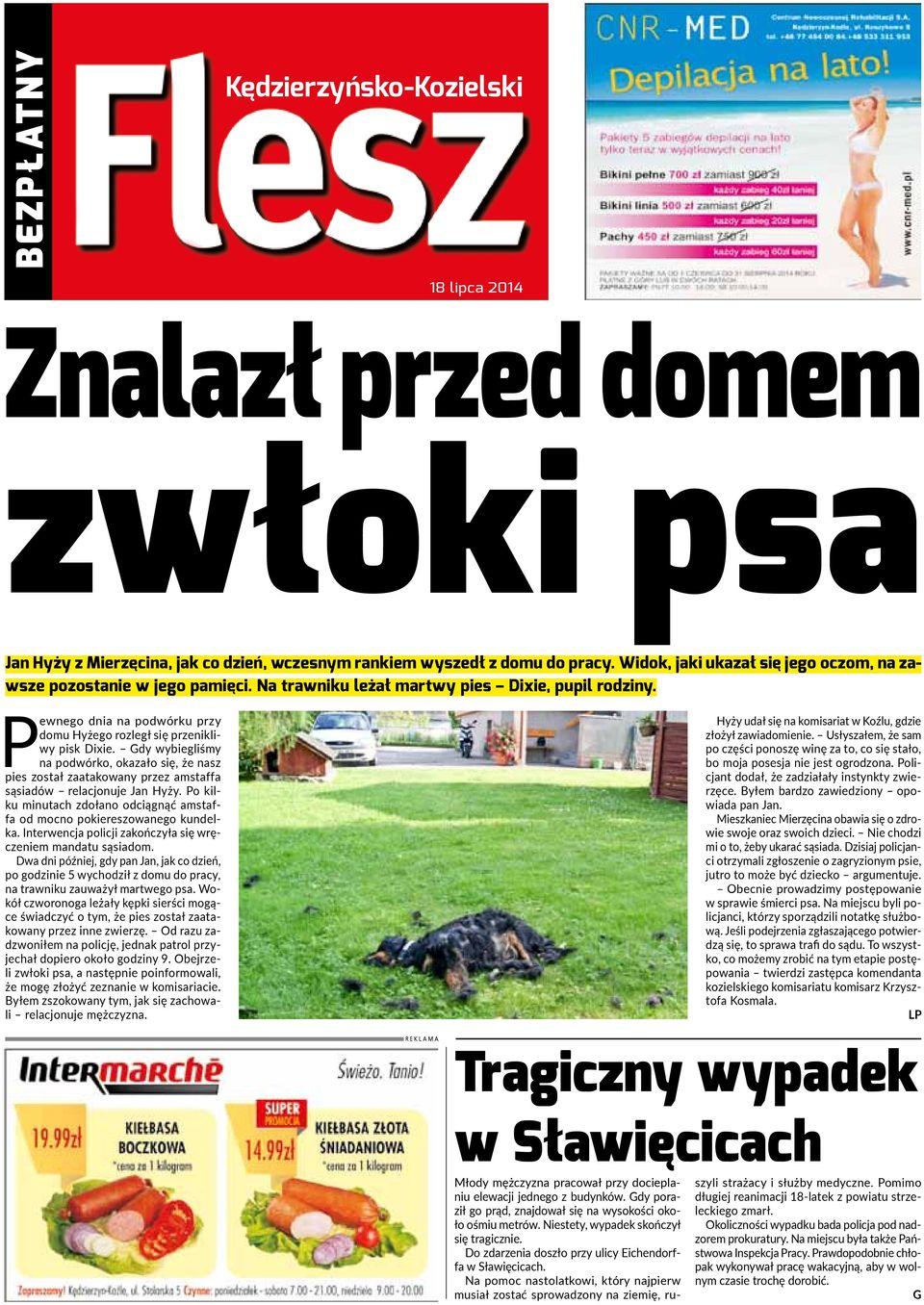 Pewnego dnia na podwórku przy domu Hyżego rozległ się przenikliwy pisk Dixie. Gdy wybiegliśmy na podwórko, okazało się, że nasz pies został zaatakowany przez amstaffa sąsiadów relacjonuje Jan Hyży.