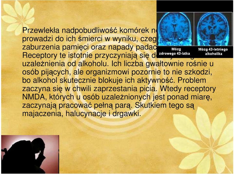 Ich liczba gwałtownie rośnie u osób pijących, ale organizmowi pozornie to nie szkodzi, bo alkohol skutecznie blokuje ich aktywność.