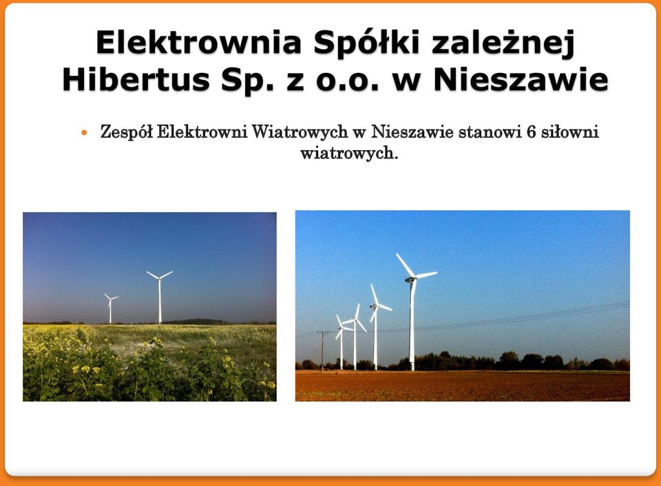 o. w Nieszawie Zespół Elektrowni