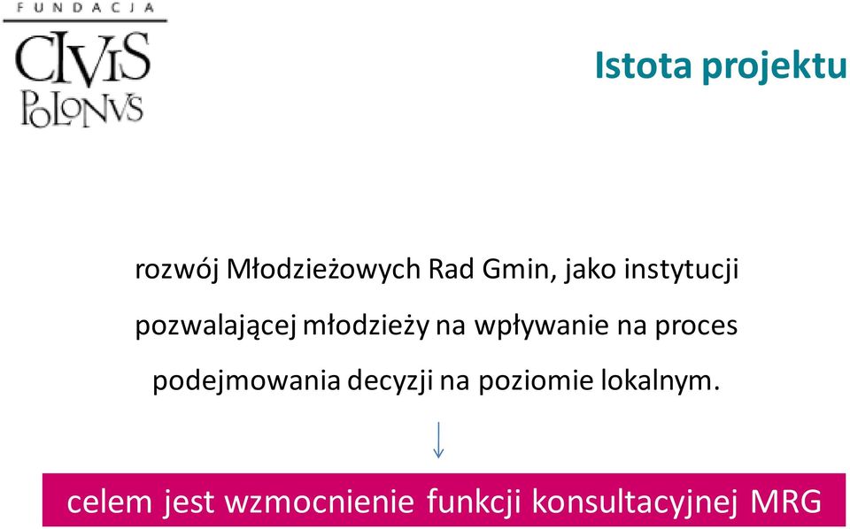 wpływanie na proces podejmowania decyzji na