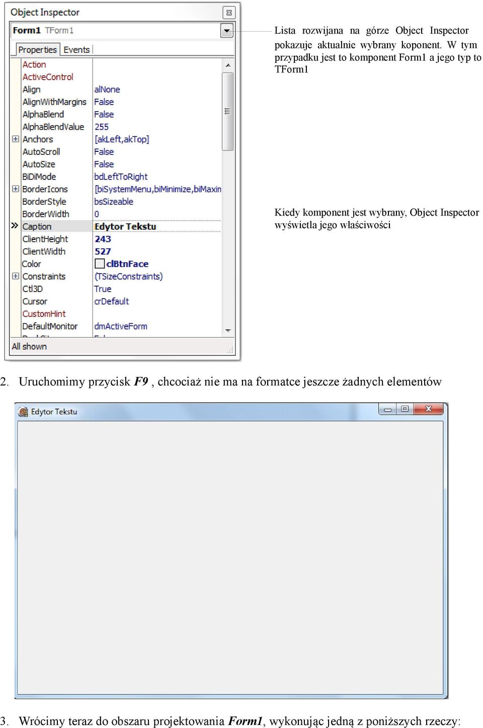 Object Inspector wyświetla jego właściwości 2.