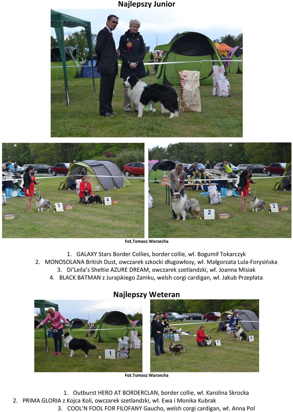 Di Leila s Sheltie AZURE DREAM, owczarek szetlandzki, wł. Joanna Misiak 4. BLACK BATMAN z Jurajskiego Zamku, welsh corgi cardigan, wł.
