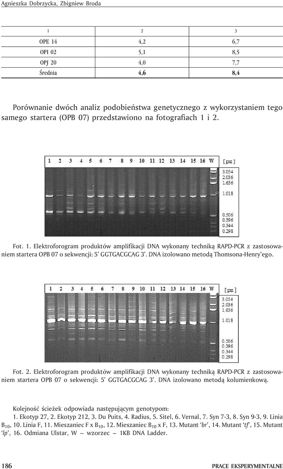 DNA izolowano metod¹ Thomsona-Henry ego. Fot. 2. Elektroforogram produktów amplifikacji DNA wykonany technik¹ RAPD-PCR z zastosowaniem startera OPB 07 o sekwencji: 5 GGTGACGCAG 3.