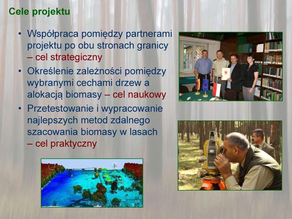 cechami drzew a alokacją biomasy cel naukowy Przetestowanie i