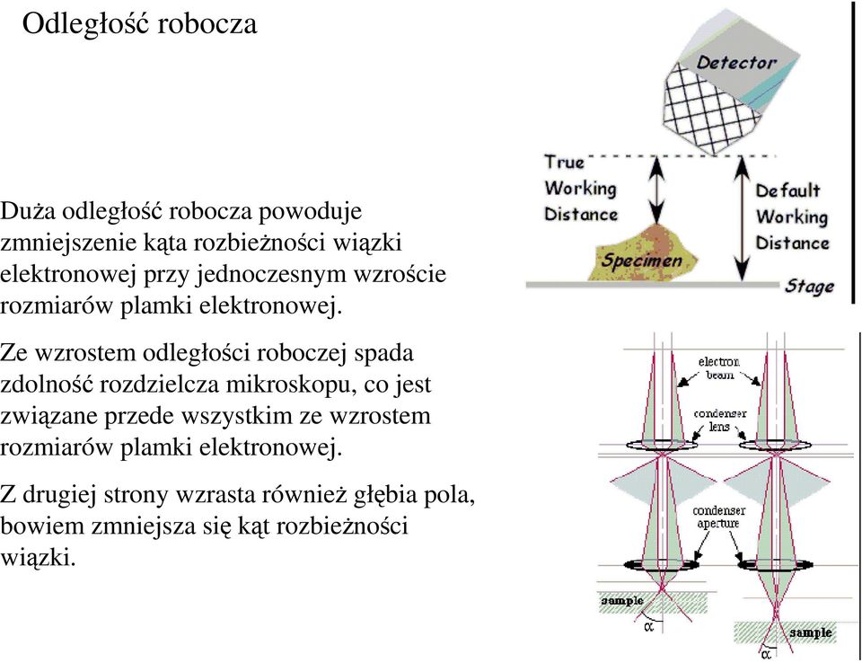 Ze wzrostem odległości roboczej spada zdolność rozdzielcza mikroskopu, co jest związane przede