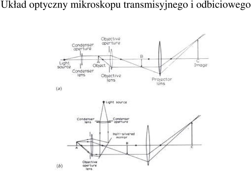 mikroskopu