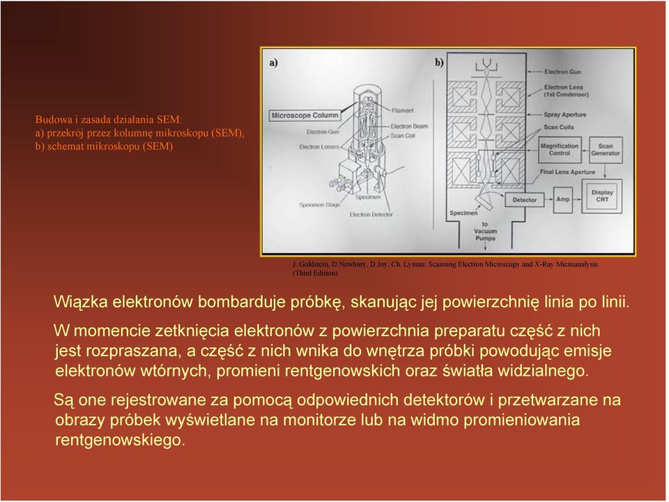 W momencie zetknięcia elektronów z powierzchnia preparatu część z nich jest rozpraszana, a część z nich wnika do wnętrza próbki powodując emisje elektronów wtórnych,