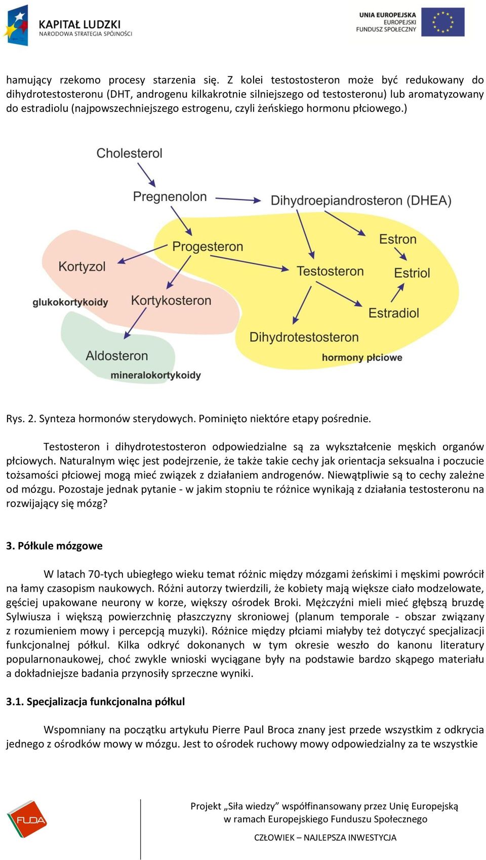 żeoskiego hormonu płciowego.) Rys. 2. Synteza hormonów sterydowych. Pominięto niektóre etapy pośrednie. Testosteron i dihydrotestosteron odpowiedzialne są za wykształcenie męskich organów płciowych.