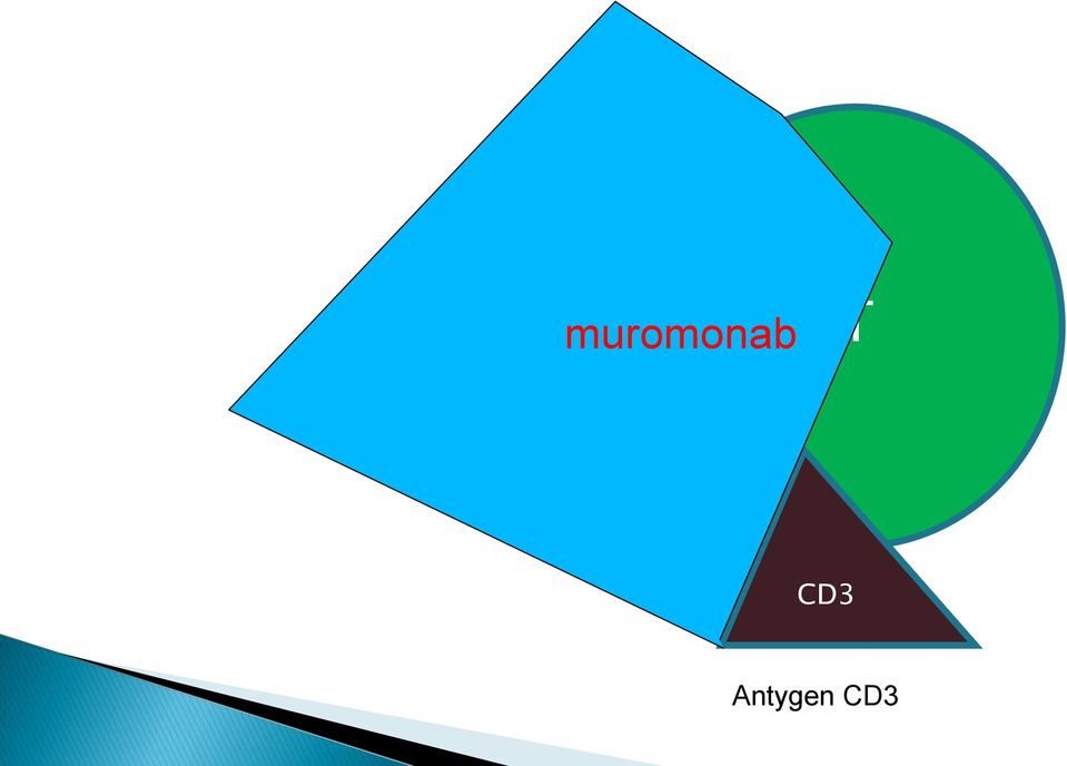 muromonab
