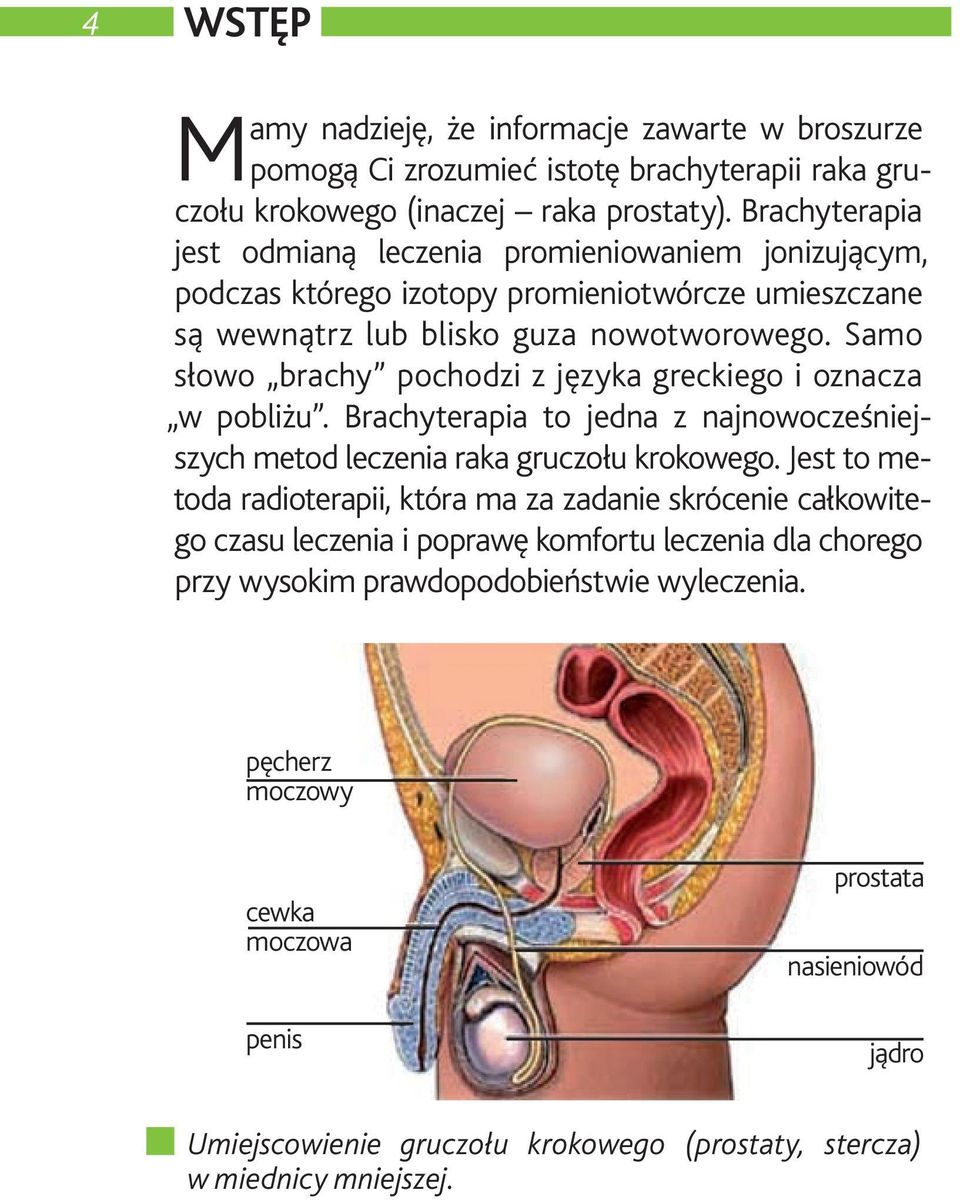 Samo słowo brachy pochodzi z języka greckiego i oznacza w pobliżu. Brachyterapia to jedna z najnowocześniejszych metod leczenia raka gruczołu krokowego.