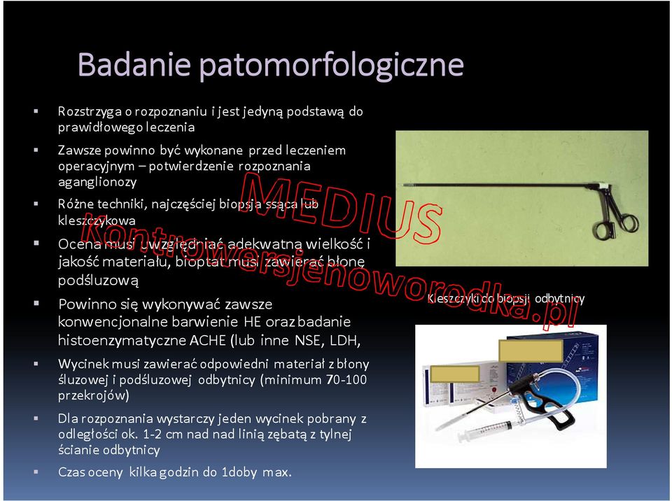 wykonywać zawsze konwencjonalne barwienie HE oraz badanie histoenzymatyczne ACHE (lub inne NSE, LDH, Wycinek musi zawierać odpowiedni materiał z błony śluzowej i podśluzowej odbytnicy