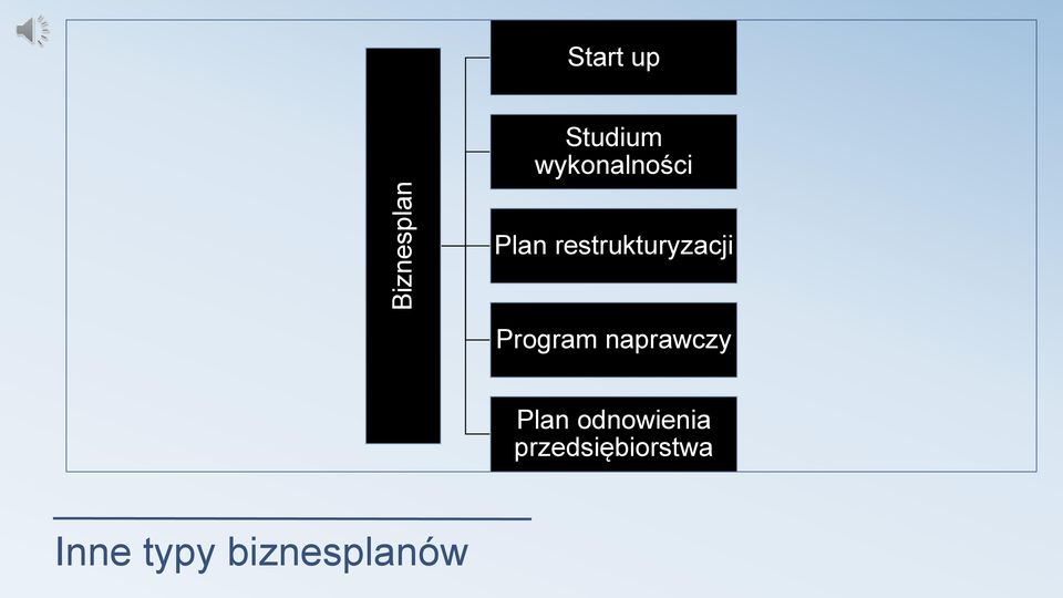 restrukturyzacji Program