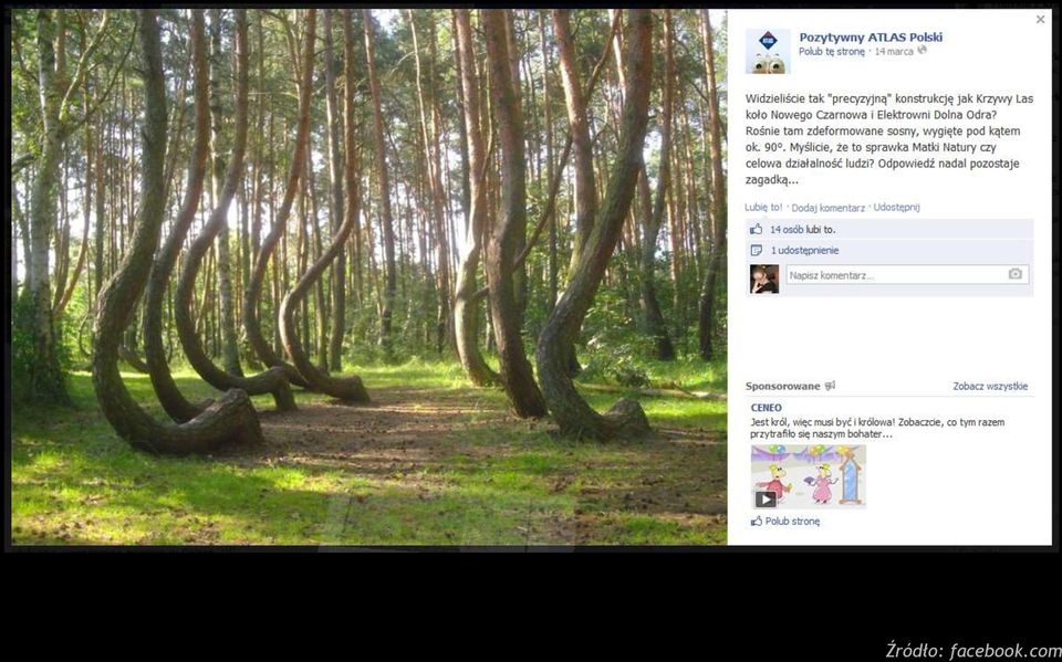 tożsamość