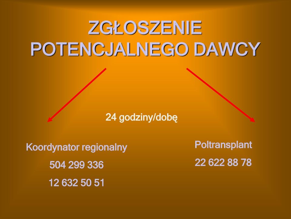 regionalny 504 299 336