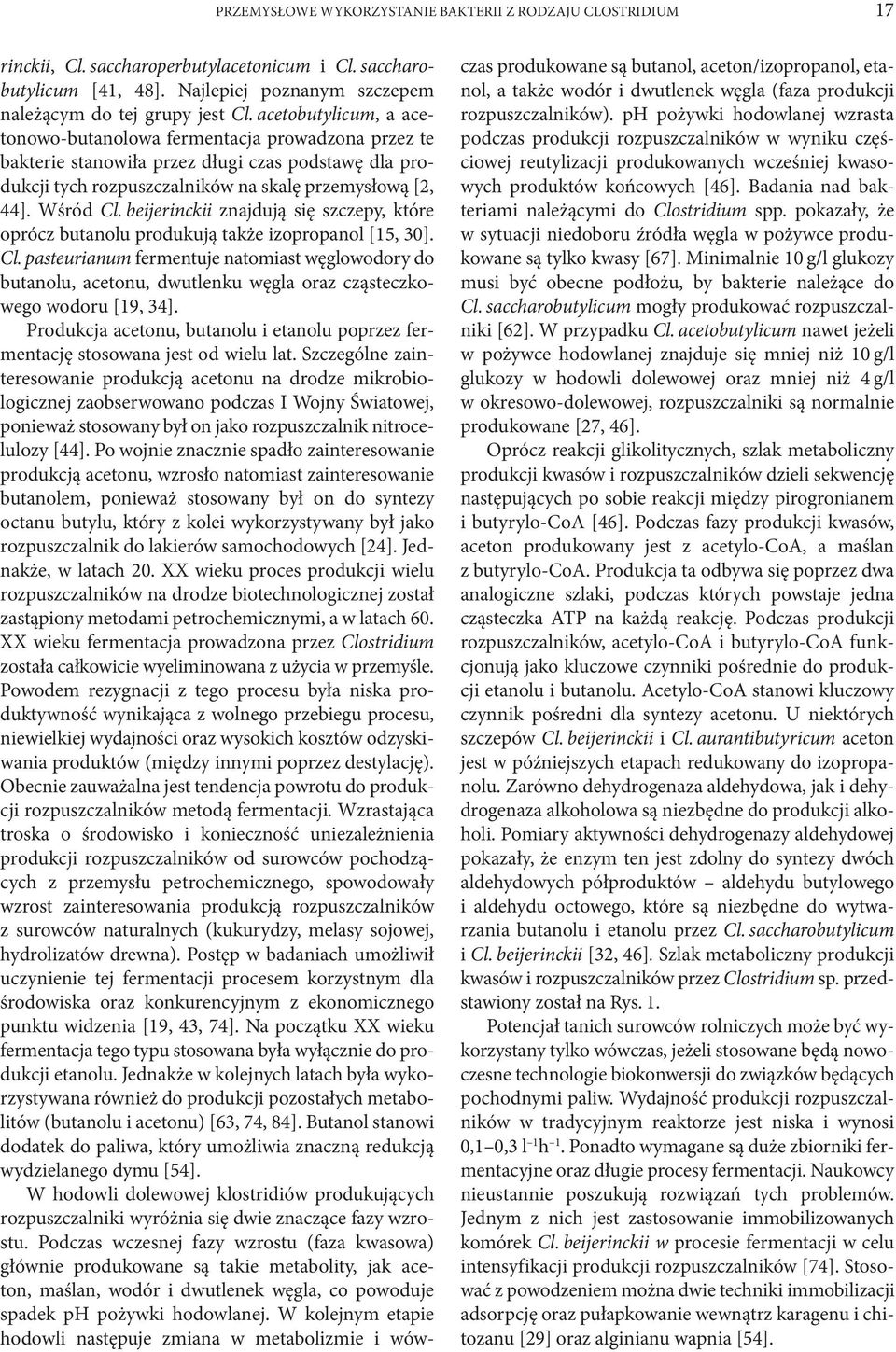 beijerinckii znajdują się szczepy, które oprócz butanolu produkują także izopropanol [15, 30]. Cl.