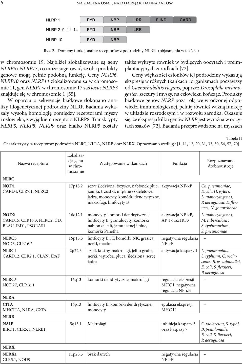 Geny NLRP6, NLRP10 oraz NLRP14 zlokalizowane są w chromosomie 11, gen NLRP1 w chromosomie 17 zaś locus NLRP3 znajduje się w chromosomie 1 [55].