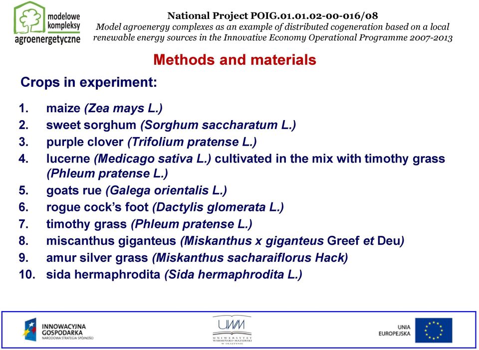 2007-2013 Methods and materials 1. maize (Zea mays L.) 2. sweet sorghum (Sorghum saccharatum L.) 3. purple clover (Trifolium pratense L.) 4. lucerne (Medicago sativa L.