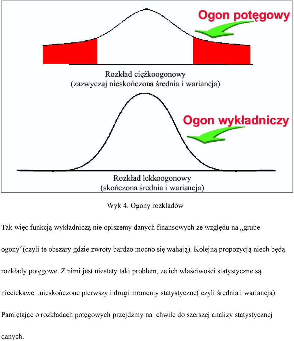 obszary gdzie zwroty bardzo mocno się wahają). Kolejną propozycją niech będą rozkłady potęgowe.