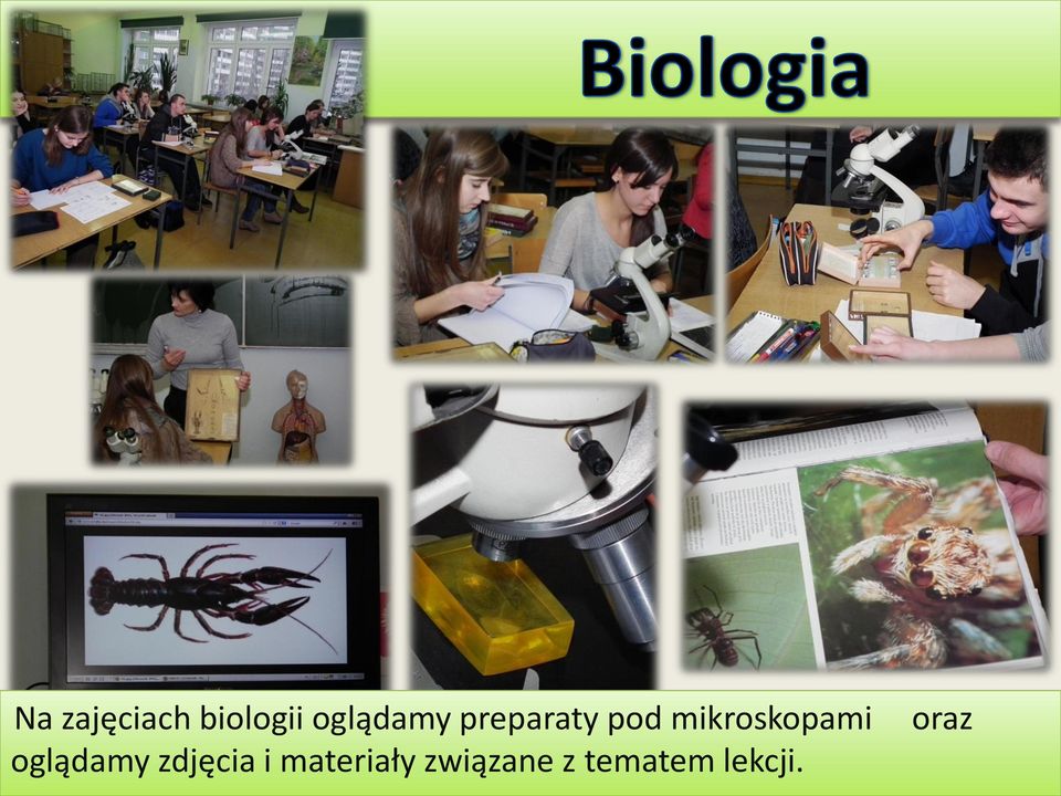 mikroskopami oglądamy zdjęcia