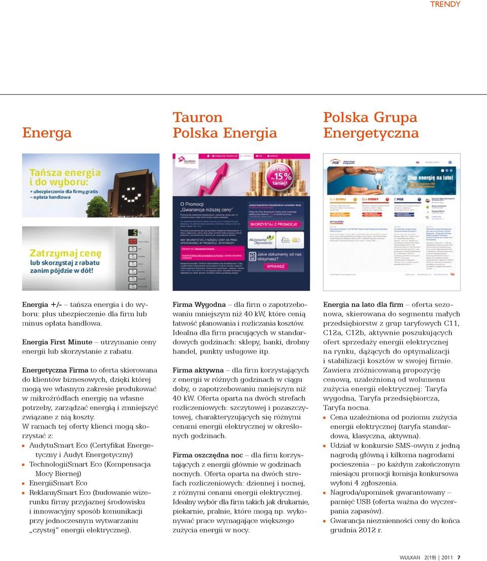 Energetyczna Firma to oferta skierowana do klientów biznesowych, dzięki której mogą we własnym zakresie produkować w mikroźródłach energię na własne potrzeby, zarządzać energią i zmniejszyć związane