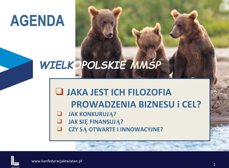 CEL? JAK KONKURUJĄ?