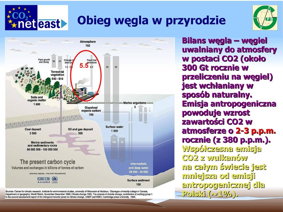 na węgiel) jest wchłaniany w sposób naturalny.