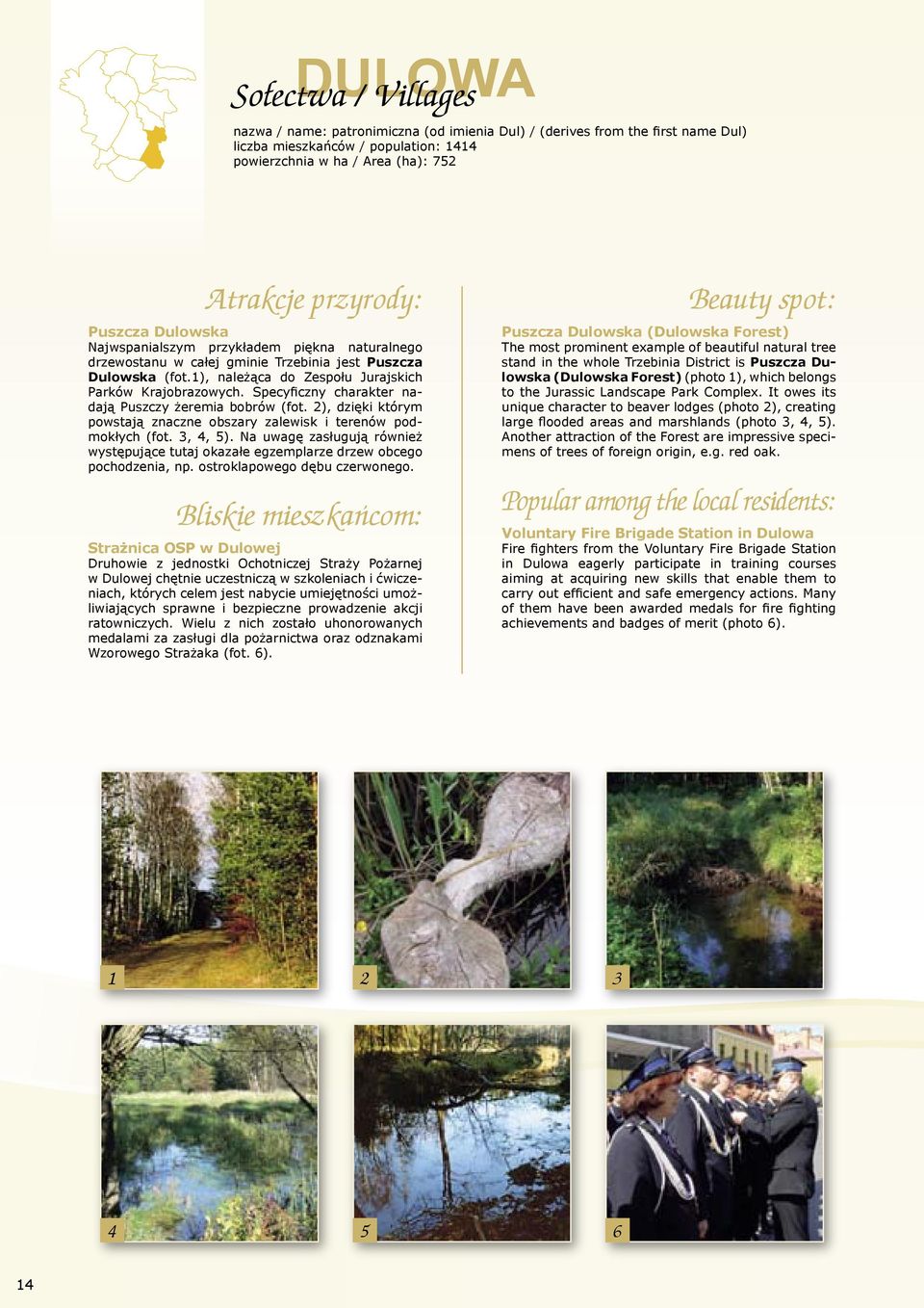 Specyficzny charakter nadają Puszczy żeremia bobrów (fot. 2), dzięki którym powstają znaczne obszary zalewisk i terenów podmokłych (fot. 3, 4, 5).