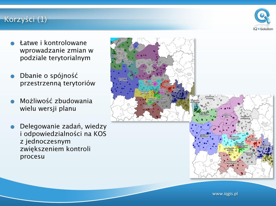 Możliwość zbudowania wielu wersji planu Delegowanie zadań,