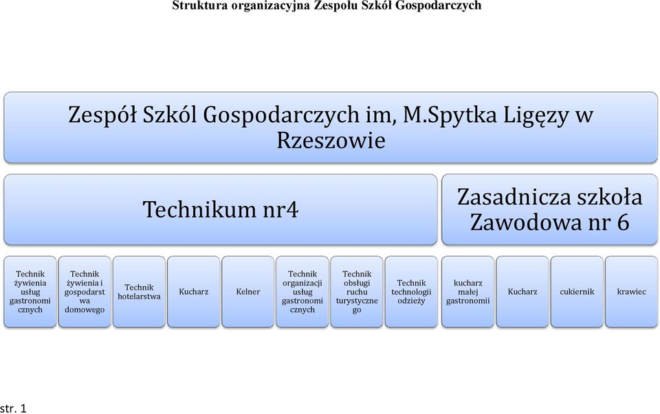 cznych żywienia i gospodarst wa domowego hotelarstwa Kucharz Kelner organizacji usług