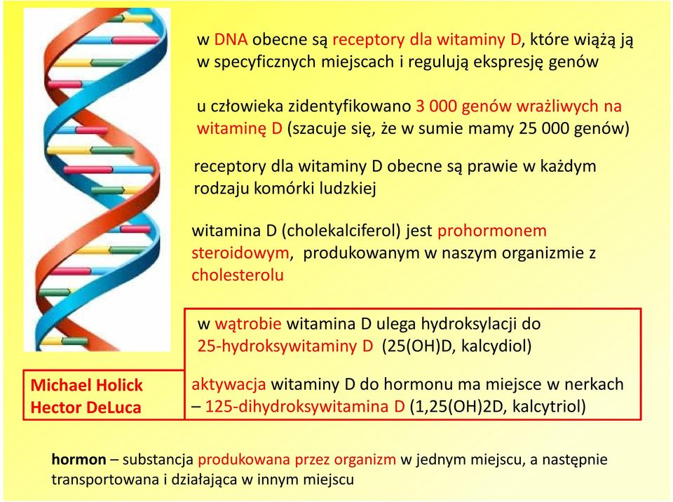 naszym organizmie z cholesterolu w wątrobie witamina D ulega hydroksylacji do 25-hydroksywitaminy D (25(OH)D, kalcydiol) Michael Holick Hector DeLuca aktywacja witaminy D do hormonu ma