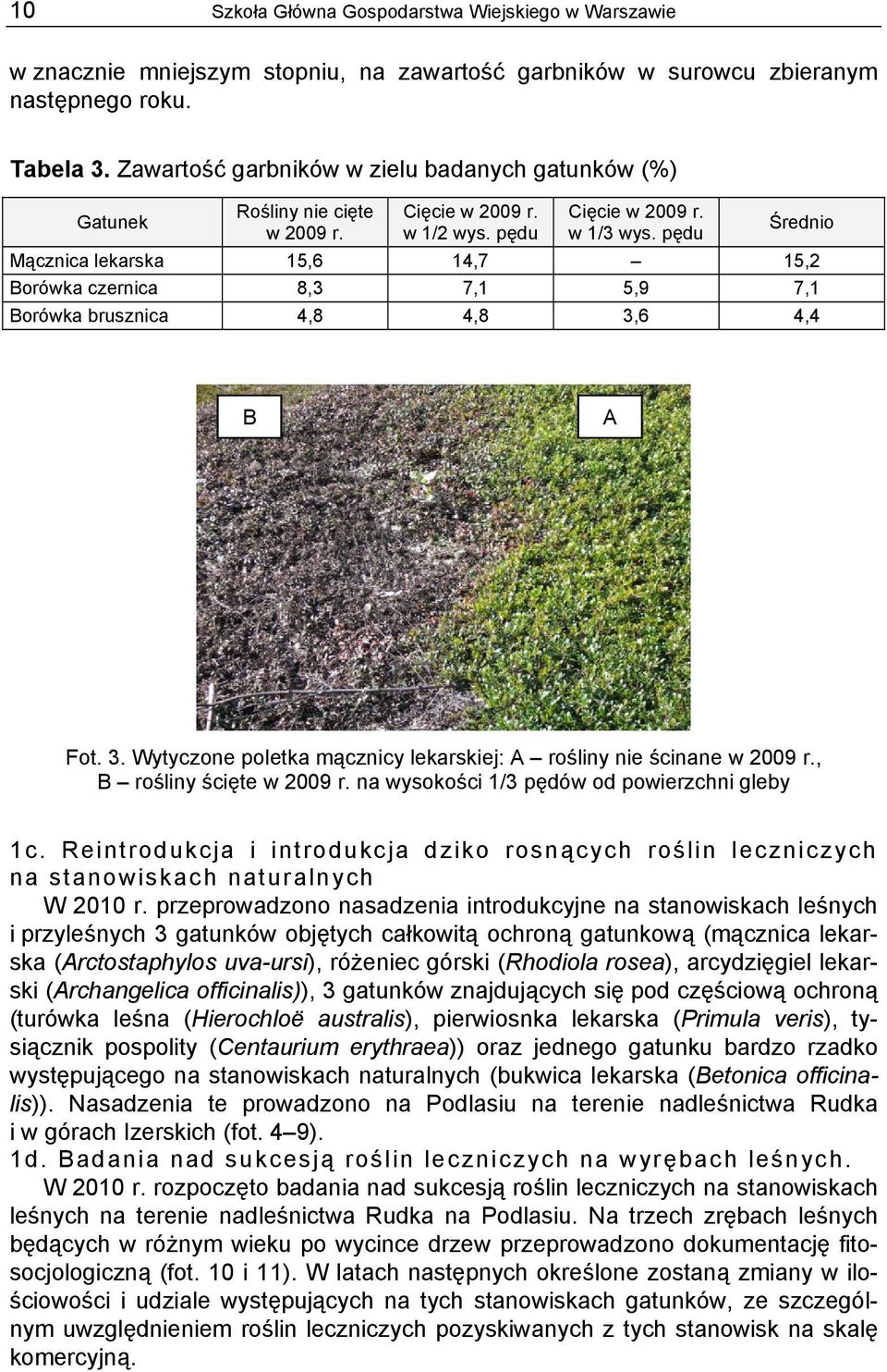 pędu Średnio Mącznica lekarska 15,6 14,7 15,2 Borówka czernica 8,3 7,1 5,9 7,1 Borówka brusznica 4,8 4,8 3,6 4,4 B A Fot. 3. Wytyczone poletka mącznicy lekarskiej: A rośliny nie ścinane w 2009 r.