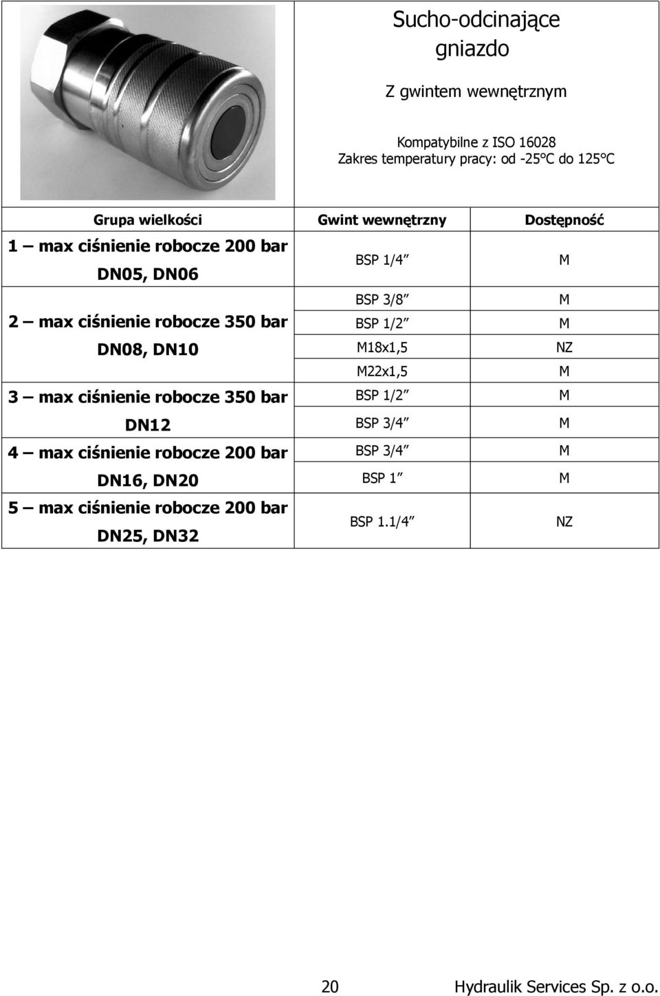 robocze 350 bar BSP 1/2 BSP 3/4 4 max ciśnienie robocze 200 bar BSP 3/4 DN16, DN20 BSP 1