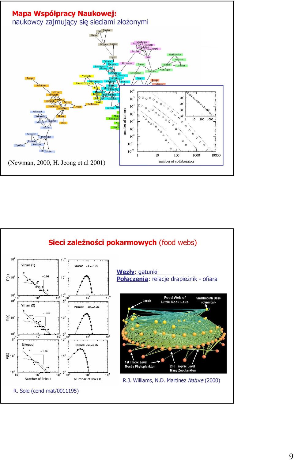 Jeong et al 2001) Sieci zaleŝności pokarmowych (food webs) Węzły: