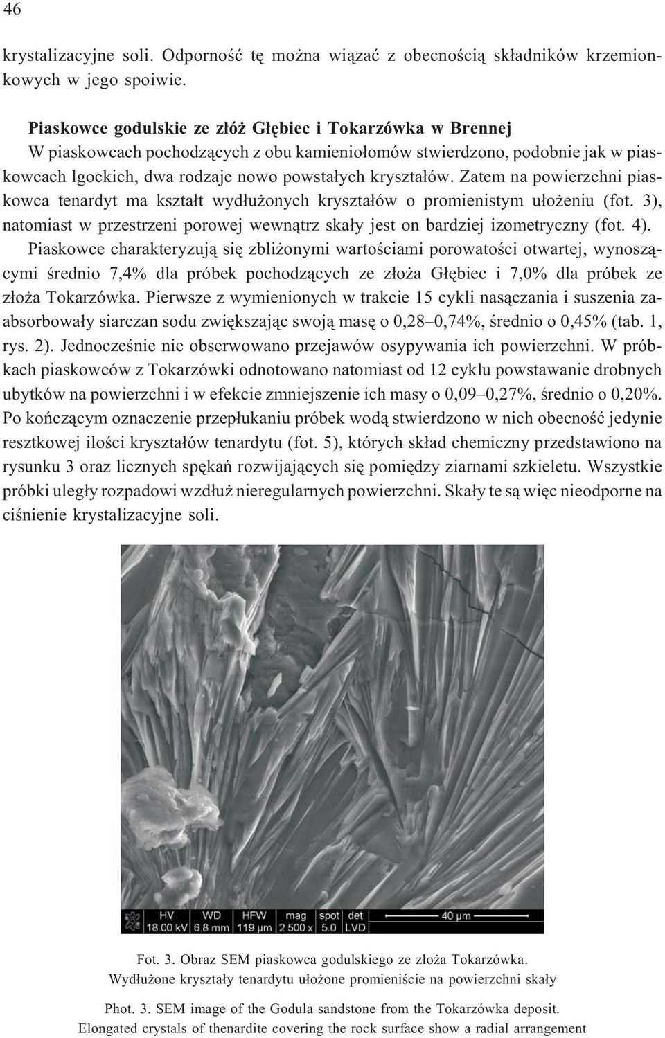 Zatem na powierzchni piaskowca tenardyt ma kszta³t wyd³u onych kryszta³ów o promienistym u³o eniu (fot. 3), natomiast w przestrzeni porowej wewn¹trz ska³y jest on bardziej izometryczny (fot. 4).