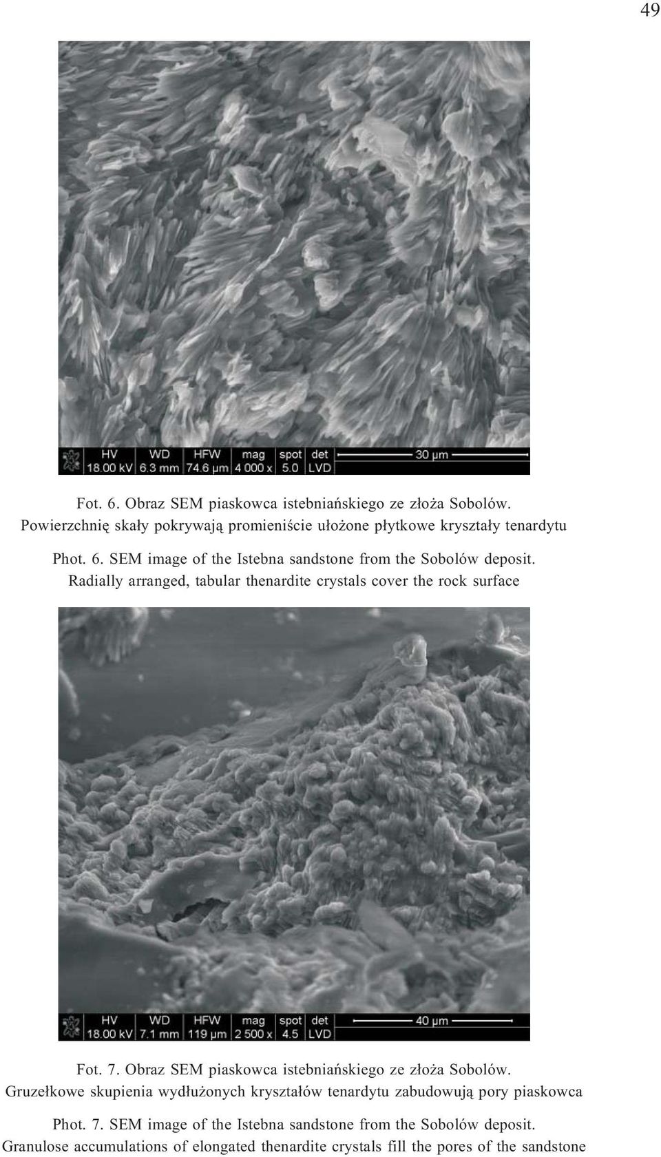 SEM image of the Istebna sandstone from the Sobolów deposit. Radially arranged, tabular thenardite crystals cover the rock surface Fot. 7.