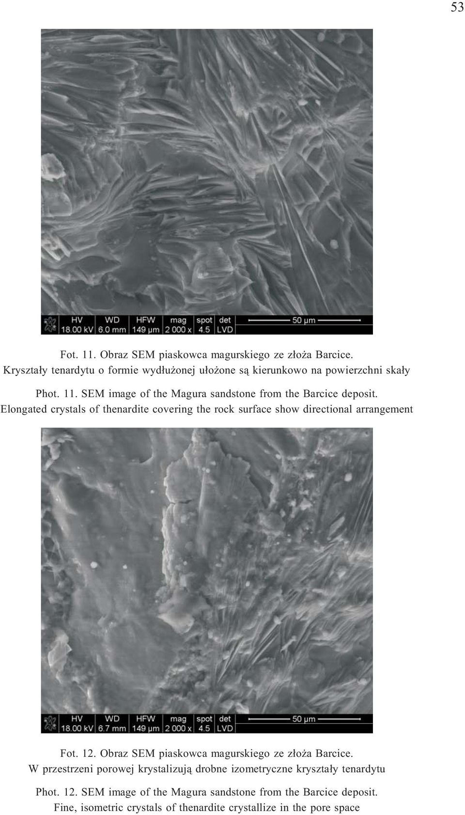 SEM image of the Magura sandstone from the Barcice deposit.