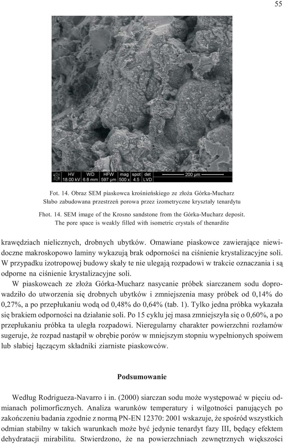 Omawiane piaskowce zawieraj¹ce niewidoczne makroskopowo laminy wykazuj¹ brak odpornoœci na ciœnienie krystalizacyjne soli.