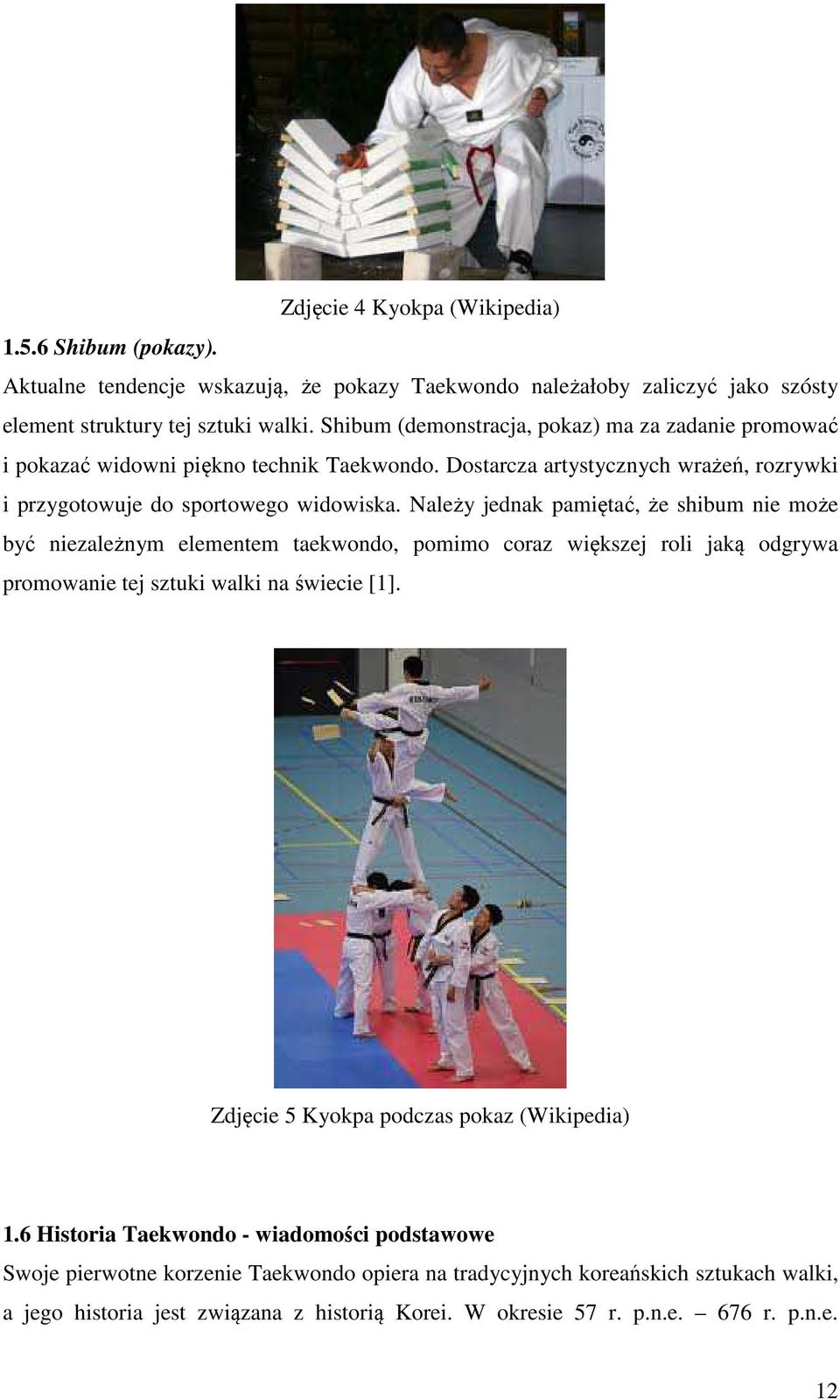 Należy jednak pamiętać, że shibum nie może być niezależnym elementem taekwondo, pomimo coraz większej roli jaką odgrywa promowanie tej sztuki walki na świecie [1].